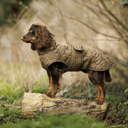 Honey Comb Winter/Spring Water Proof Dog Coat - Luther Bennett