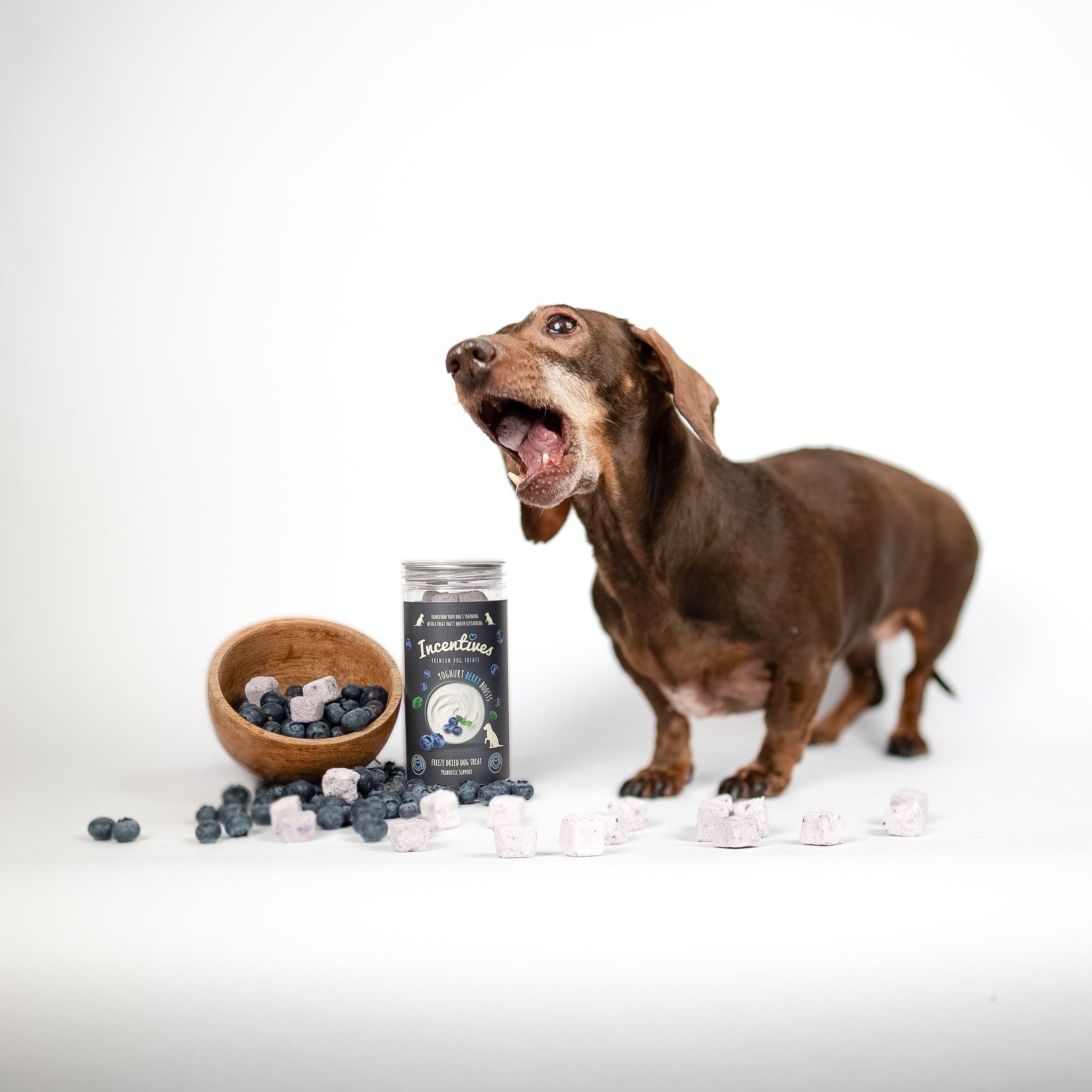 Yoghurt & Berry Boosts - Premium Probiotic Dog Treats - Luther Bennett